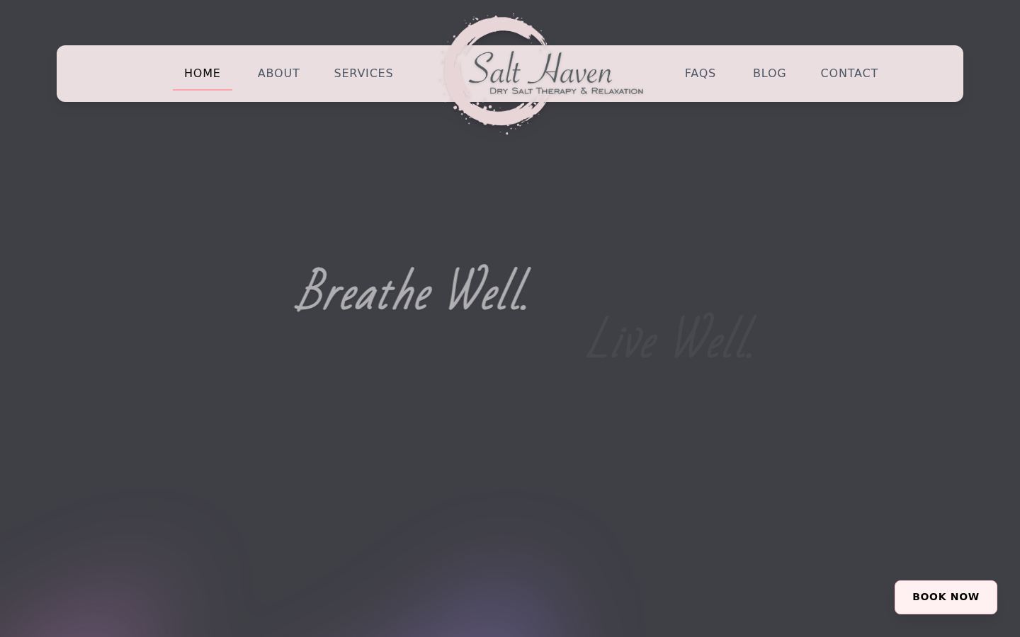 Homepage of Salt Haven